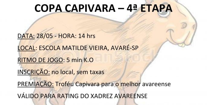 Xadrez avareense terá torneios nos próximos meses