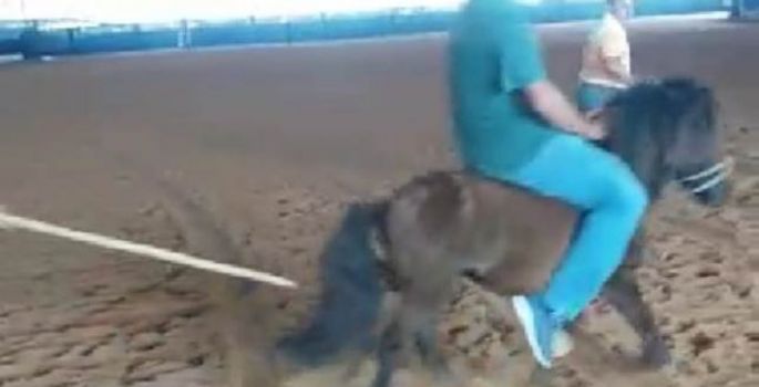 Avaré: Crueldade na Emapa revolta e já causa suspeitas