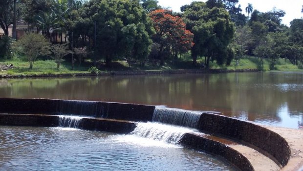 “O Oba-Oba do Horto”