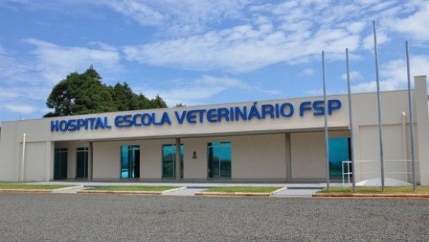 Hospital Veterinário da FSP abre as portas para atendimento clínico