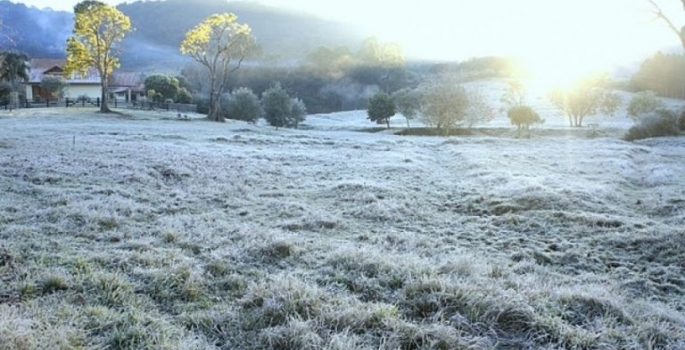 Papo com a Magali - Temperaturas baixas exigem cuidados !