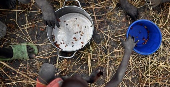 Crise do novo coronavírus pode causar “fome de proporções bíblicas”, alerta diretor da ONU