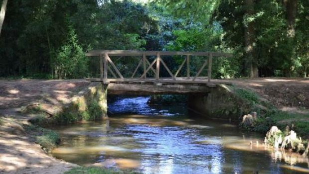 Médico avareense fala sobre a municipalização do Horto