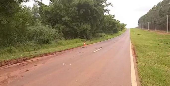 Idoso é socorrido após levar mais de 2 mil picadas de abelha ao andar de bicicleta em rodovia