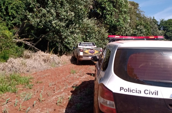 Polícia Civil deflagra operação para reprimir furtos de gado e de máquinas agrícolas