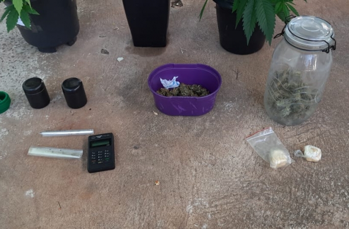 Polícia Civil apreende estufa com pés de maconha e drogas sintéticas