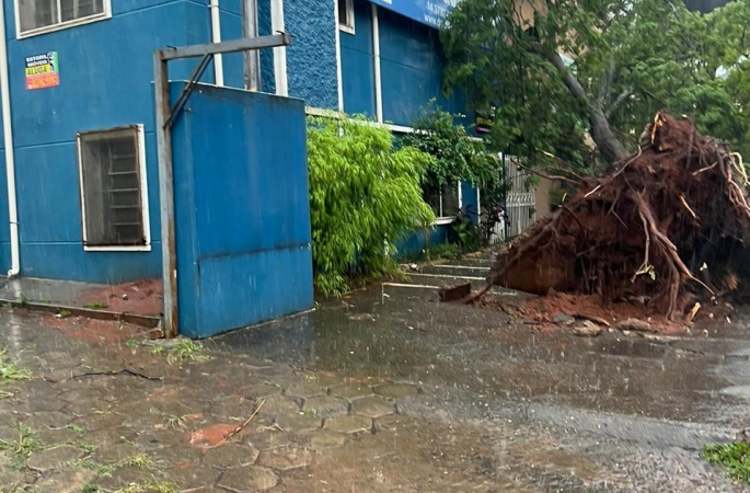 Tempestade derruba árvores e causa danos em rede de energia elétrica em Avaré; veja fotos