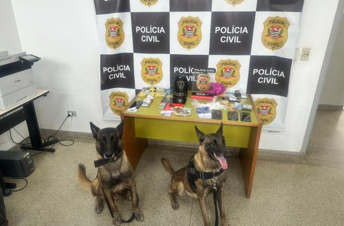 Cinco pessoas são presas em operação contra o tráfico de drogas em Paranapanema