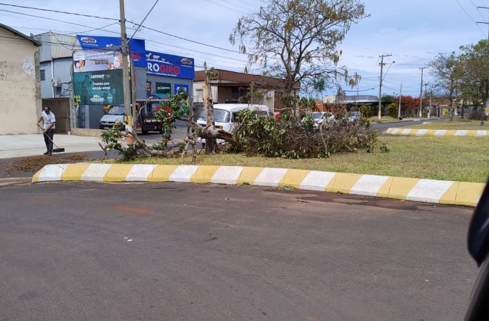 Tempestade com ventos fortes causa estragos no centro e bairros de Avaré