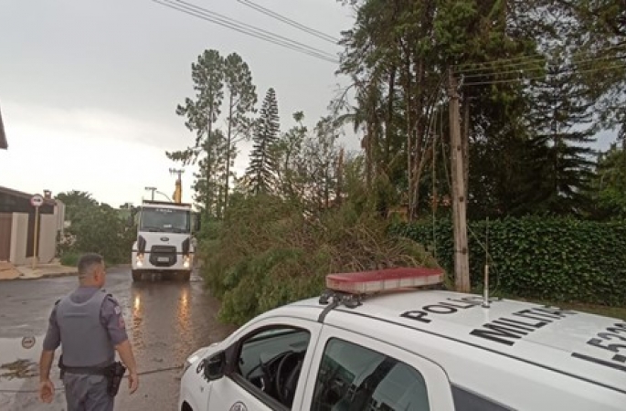 Tempestade provoca interdição de rua e queda de árvores no interior de SP