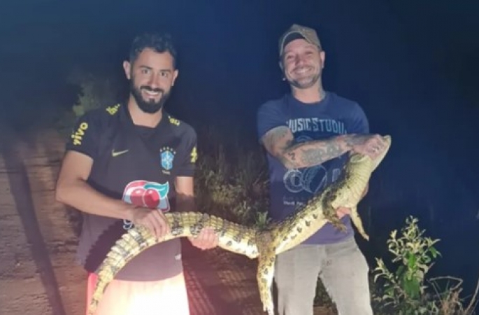 Jacaré é flagrado durante “passeio noturno” em Cerqueira César