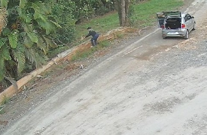 Mulher arremessa e abandona filhotes de cachorro em estrada no interior de SP