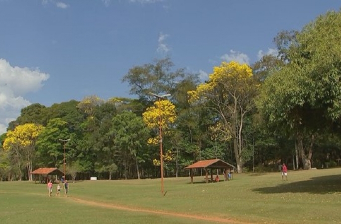 Mulher denuncia ato obsceno ao passear com filho no Horto Florestal de Avaré