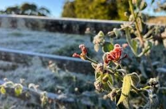 Defesa Civil emite alerta para queda de temperatura no Estado de SP