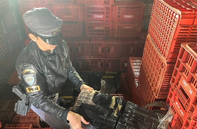 Polícia Rodoviária prende motorista com quase 1 tonelada de maconha na Raposo Tavares