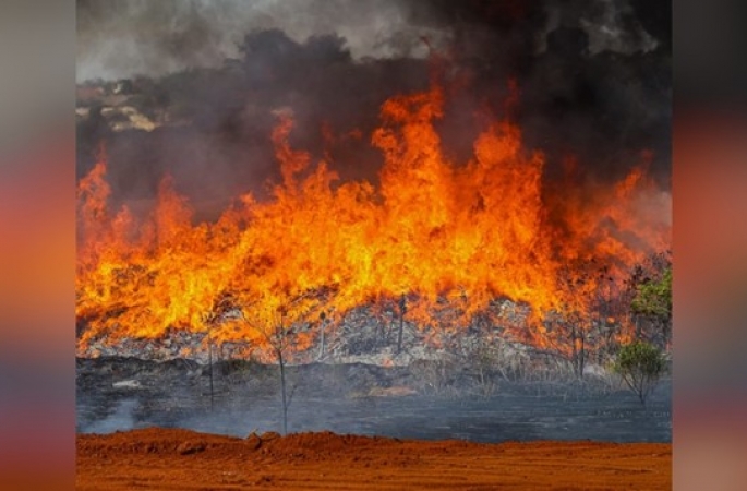 Incêndio de grandes proporções atinge área de mata em Avaré