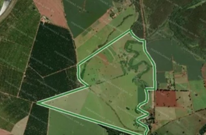 Câmara de Avaré aprova leilão de fazenda pública por no mínimo R$ 28 milhões