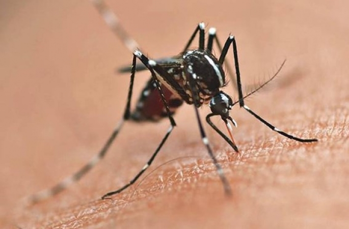 Manduri confirma primeira morte por dengue em 2024
