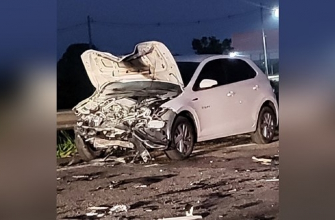 Carro atropela búfalo e é atingido por outros três veículos na Castello Branco
