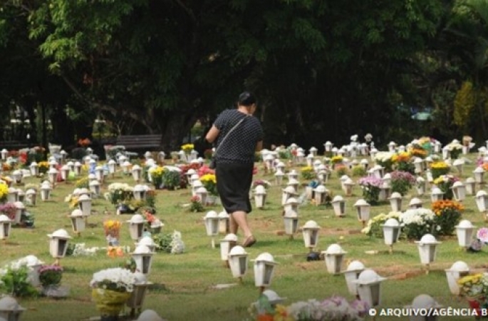 Cães e gatos podem ser sepultados em jazigos familiares em São Paulo
