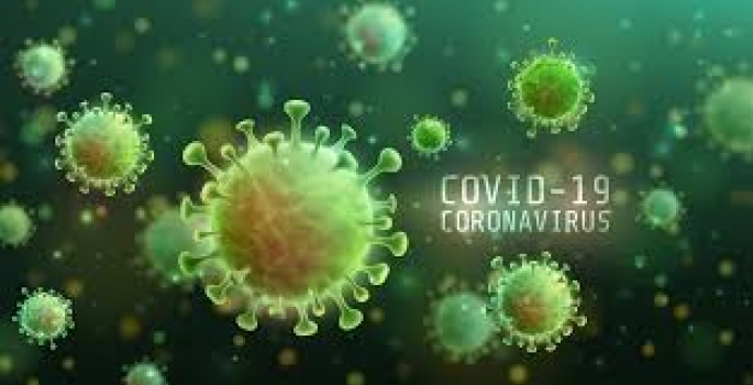 Dados da covid em Avaré, dia 02 de fevereiro