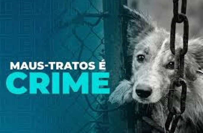 Cão é resgatado após ser covardemente esfaqueado na cabeça no interior de SP