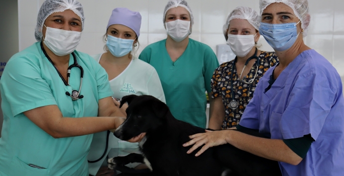 Medicina Veterinária Eduvale promove ação de castração gratuita