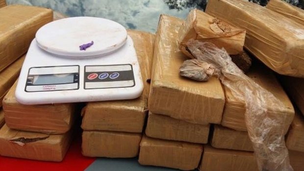 PM acha 30 quilos de maconha enterrados depois de prender dupla