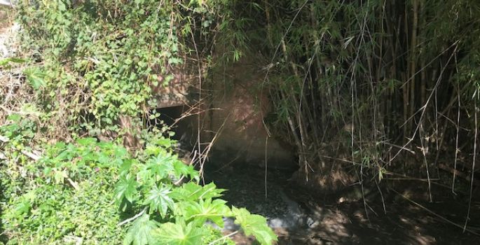 Córrego estaria sendo poluído por vazamento de esgoto em Avaré