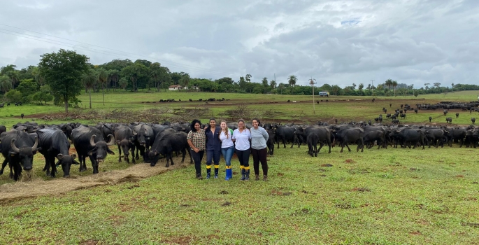Zootecnia e Veterinária Eduvale apoiam o caso das búfalas de Brotas