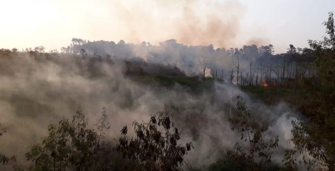 Fogo atinge área de mata e mobiliza bombeiros em Avaré