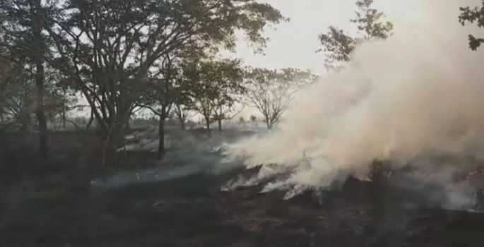 Incêndio atinge área às margens de rodovia em Avaré
