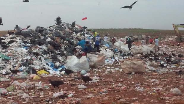 Quase 1/4 dos municípios do estado têm lixão a céu aberto, diz TCE-SP