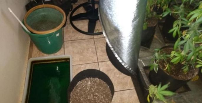 Polícia encontra laboratório de drogas dentro de casa em Bernardino de Campos