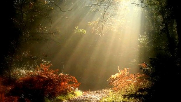 Um Caminho para a luz