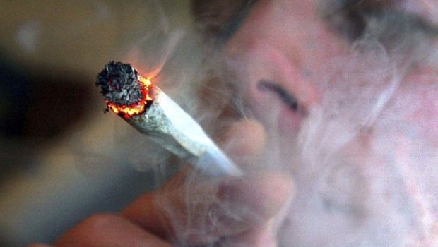 Uso regular de maconha diminui o tamanho do cérebro, diz pesquisa