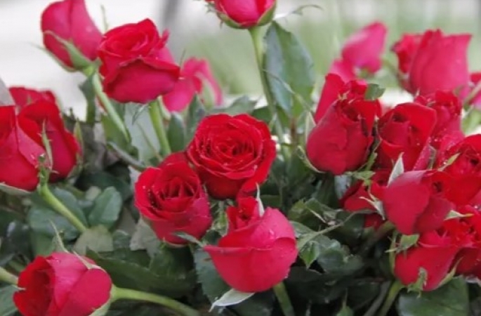 Celebrando o Amor, a Empatia e a Bondade no Dia das Mães!