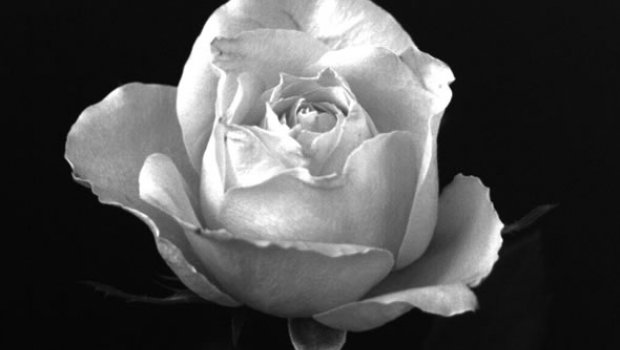 Mãe, uma homenagem...