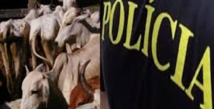 Crime de supressão de marca de gados tem dois condenados em Avaré