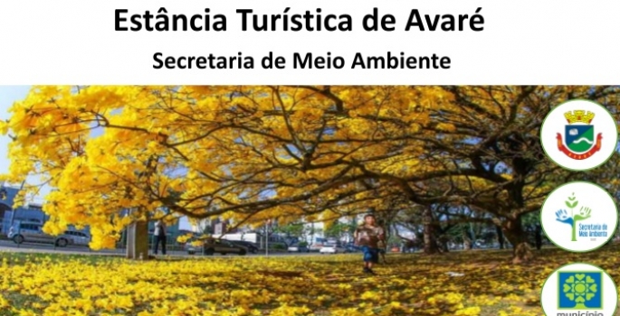 Cartilha sobre arborização urbana está disponível no site da Prefeitura