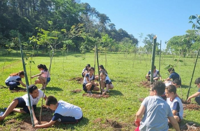 Meio Ambiente encerra ano com certificado em programa de gestão ambiental