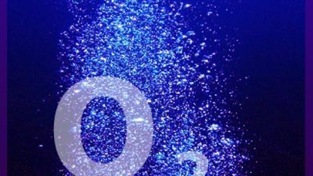 A oxigenação de Poio Novaes