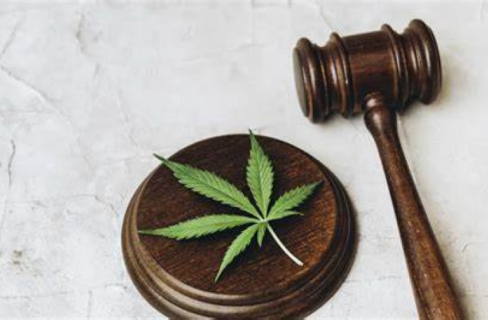 Descriminalização do porte da maconha é confundido nas redes com liberação da droga