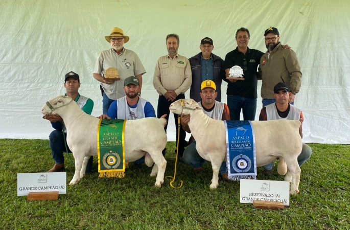 EMAPA consolida Avaré como referência nacional da ovinocultura ao sediar etapa decisiva dos rankings ARCO e ASPACO