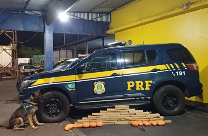 Homem é preso com mais de 450 kg de maconha na BR-153 em Ourinhos