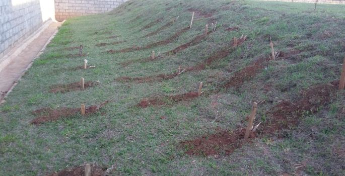 Avaré: Parceria cria horta orgânica em unidade de ensino infantil