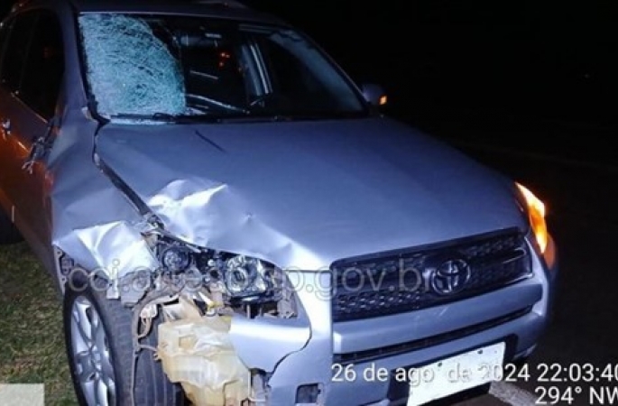 Pedestre morre atropelado na Rodovia João Mellão em Avaré