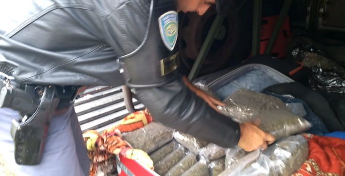 TOR prende mulher com droga conhecida por “supermaconha”