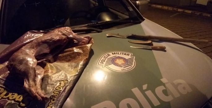 Policiais Ambientais flagram homem em caça ilegal
