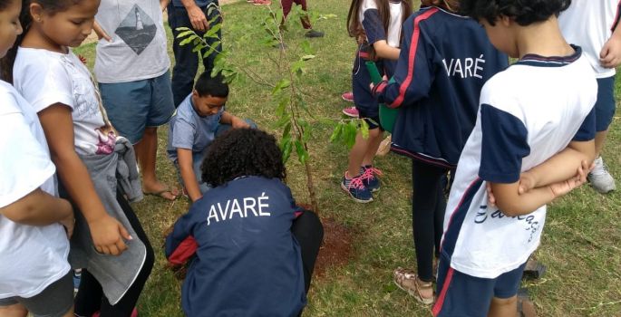 Avaré: Alunos e moradores plantam mudas em praça no Bairro Alto